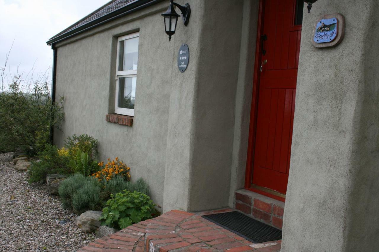 Slievemoyle Cottages Raholp Exterior foto